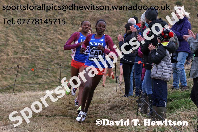 Senior womens Great Edinburgh Cross Country, 2017 Great Edinburgh Cross Country. Photo: David T. Hewitson/Sports for All PIcs